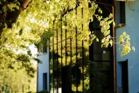 Hôtel Le Mouton Bleu Hôtels à : Talloires-Montmin