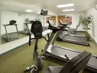 Holiday Inn Express HARLINGEN by IHG - Gym