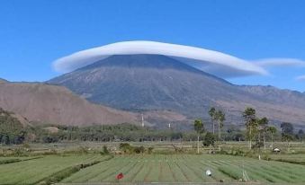 Zifa Kuta Lombok