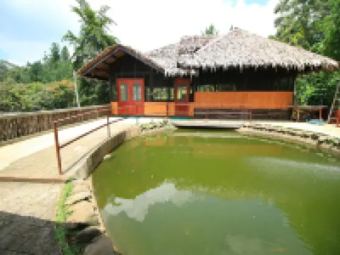 Eden Nature Park and Resort Hotels near New Year's Peak Mountain Resort