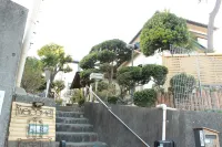 Rental Villa Saya