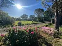 Mas de l'Estiou Hotels in Monteux