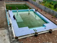Gadjah Mada Hall Cafe & Penginapan Hostel - 수영장