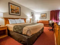 Econo Lodge - Kæledyr tilladt
