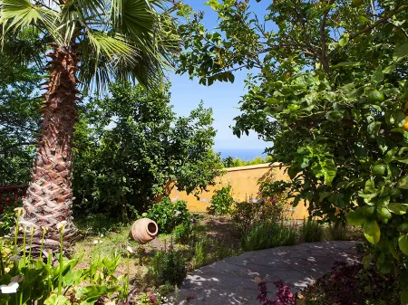 Camino la Candelaria