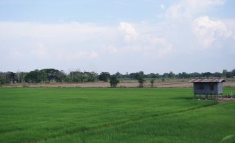 Rice Country Village