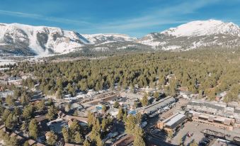 Outbound Mammoth