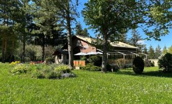a large house surrounded by a lush green lawn , with trees and flowers in the background at Logis le Chalet