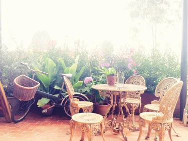 รูปภาพของสวนทอฝัน