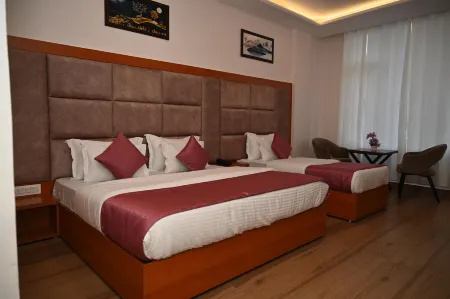 Hotel Sagar Residency- Best Mountain View Hotel in Palampur
