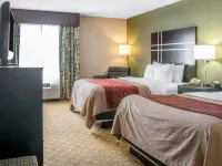 Comfort Inn & Suites Maumee - Toledo I80-90 Hotels in Maumee