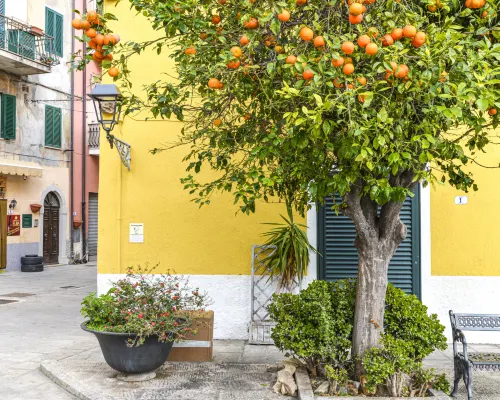 Il Marinaio Hotels in Rio