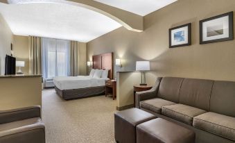 Comfort Inn & Suites St Louis-O'Fallon