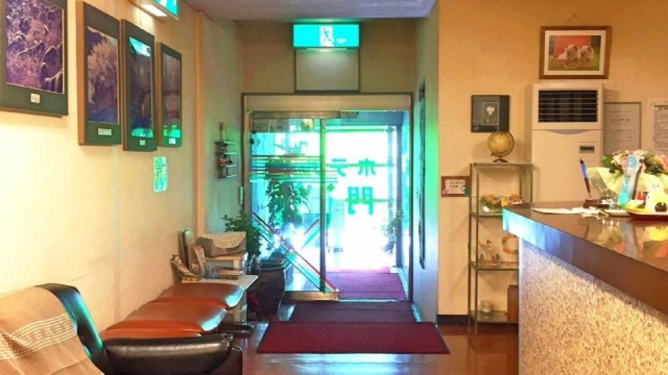 Business Hotel Moji