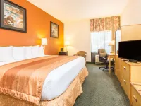 Baymont by Wyndham Cincinnati Hotels in Sharonville