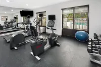 Holiday Inn Express & Suites SEBRING by IHG - Phòng tập thể hình
