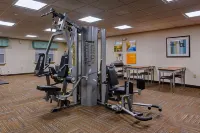 謝潑茲維爾舒適酒店-路易斯維爾南 - 健身室/gym room