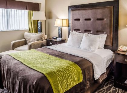 Comfort Inn Downtown Charleston