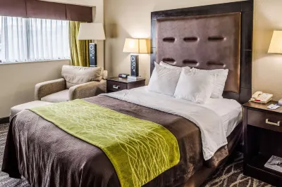 Comfort Inn Downtown Charleston Hotels near White Point Garden