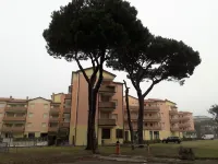 Accogliente trilocale a Rosolina con piscina in comune