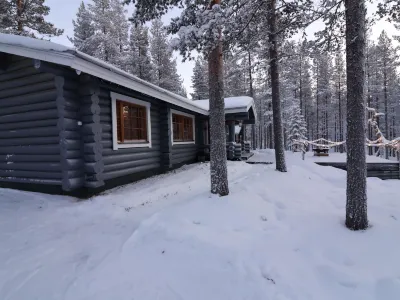 Pasyni Hoteles cerca de Levi