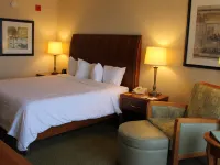 Hilton Garden Inn Addison Hotels in Addison