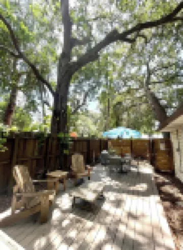 The Sand Dollar – Charming Bungalow in Gulfport, Minutes from Downtown St. Pete