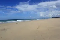 Unique oceanfront retreat with fantastic views of the wild natural space