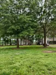 Riverfront Retreat & Fisherman's Gold, on TN River