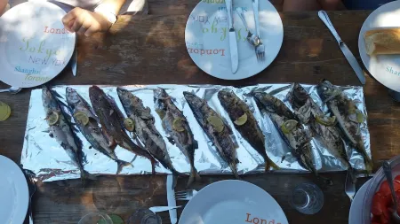 Old house near beach between Crozon Camaret Wifi calm bright garden Отели рядом с достопримечательностью «Fun Park Crozon»