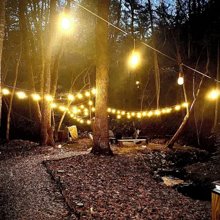 Cozy cabin sitting directly on multiple creeks for the most relaxing stay.