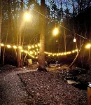 Cozy cabin sitting directly on multiple creeks for the most relaxing stay.