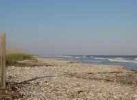 Gorgeous Secluded Island W/Creek & Ocean View w/DOCK & swim!  Pet-friendly/Wi-Fi