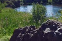 Hillside Haven: Tranquil NW Studio Near the River