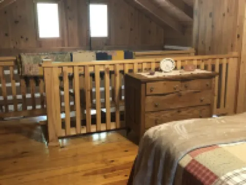 ~ Cabin in the Wildwoods ~ Secluded ~ Rustic ~ Family Friendly~ Pendleton County otelleri