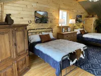 Clean cabin amid Nat Forest with private creek access,  Wi-Fi, and pet friendly!