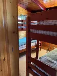 Cozy Adirondack cabin with private dock and kayaks, feet from Adirondack Lake