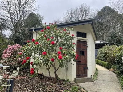 Large Cottage - Heart of Olinda - Old Police station Chelsea Australian Garden at Olinda 주변 호텔