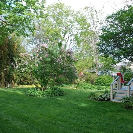 1820 Whaling Captain's Home - A Walk to a Coffee or Cocktail!