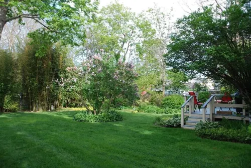 1820 Whaling Captain's Home - A Walk to a Coffee or Cocktail!