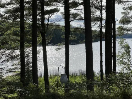 Beautiful Two Bedroom cabin on Plum Lake