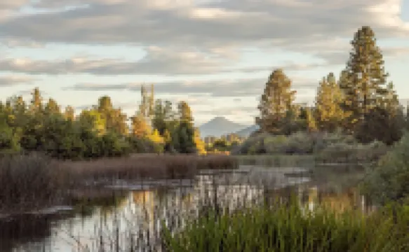 Cozy Fishing Cabin: Hat Creek, Pit River, Fall River, Baum Lake. Burney Falls.
