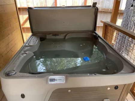 Classic Family Tahoe Cabin - West Shore Bliss!