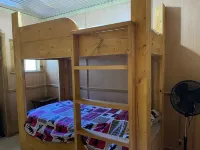 Shady Pine Cabin