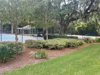 360 Tidal Marsh & Lagoon Views- Wildlife Galore from our private Screened Porch