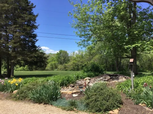 Historic Lodge Minutes from Massanutten Resort, Jmu, Shenandoah National Park!