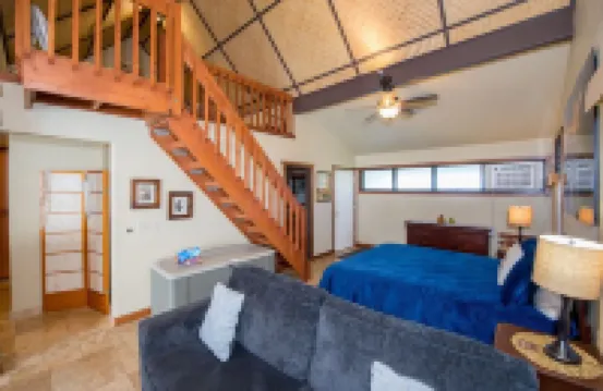 Experience the Island Paradise of Kauai's North Shore from above the Treetops.