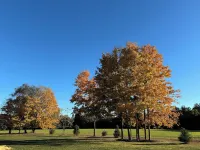 Mint Restored Historic Simsbury 4Br Estate; Optional 1Br Apt; All New Amenities Hotels in Simsbury
