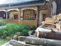 5-star apartment EG barrier-free, WiFi via DSL, Bad Brambach Hotels in Bad Brambach