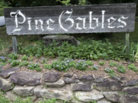 Owl's Nest Cabin. Romantic Cabin on beautiful Lake Lure! 雷克路爾酒店